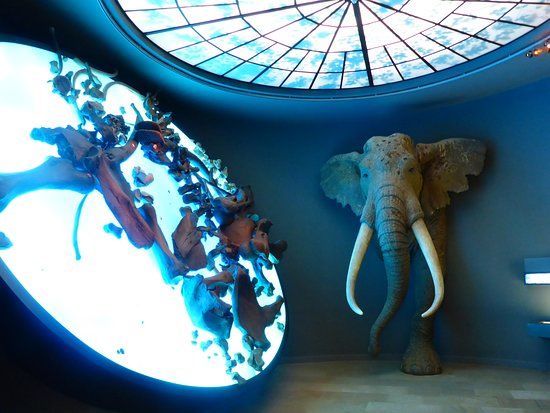 Landesmuseum für Vorgeschichte